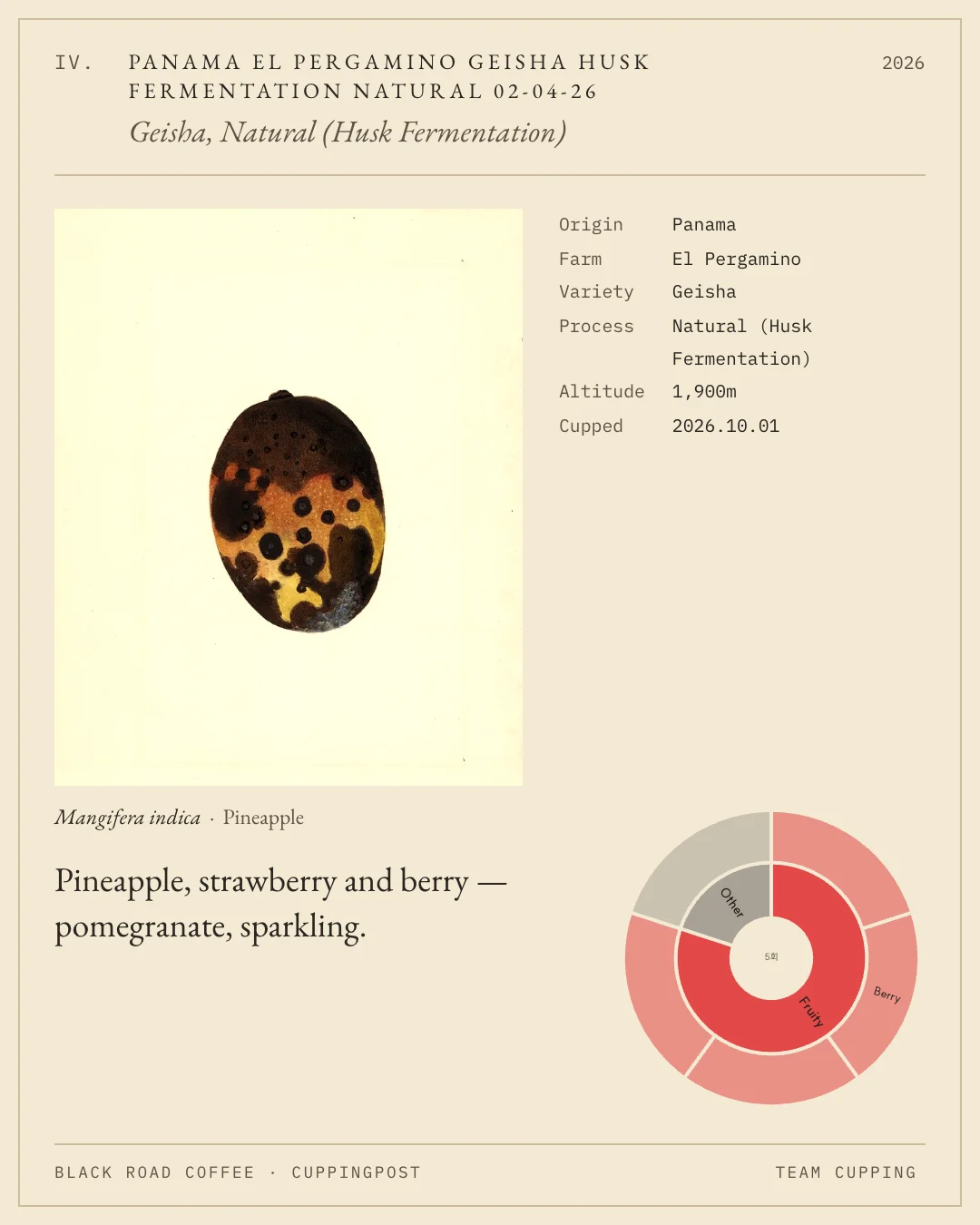 Panama El Pergamino Geisha Husk Fermentation Natural 02-04-26